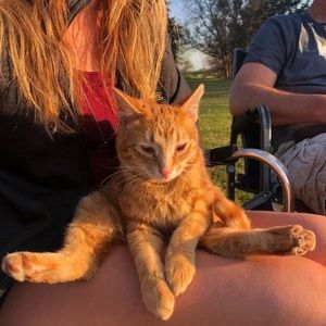 Meet your Posher, Norma